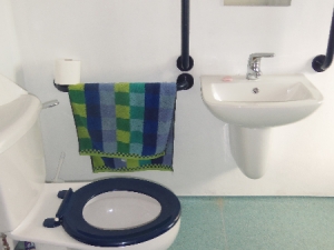 disabled-bathroom-kodak